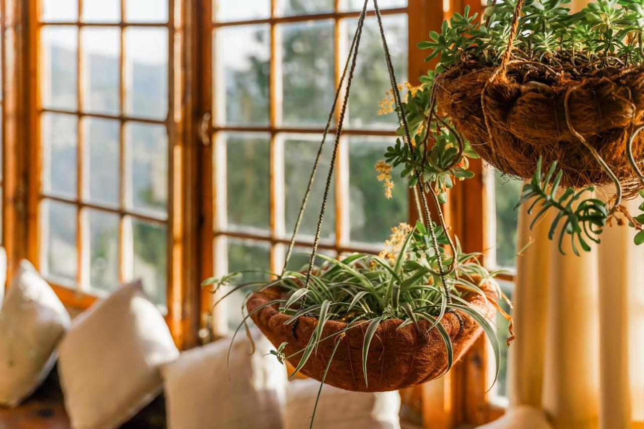 Gali'S End By Roomy, Kalabagh Nathiagali Nathia Gali Ngoại thất bức ảnh