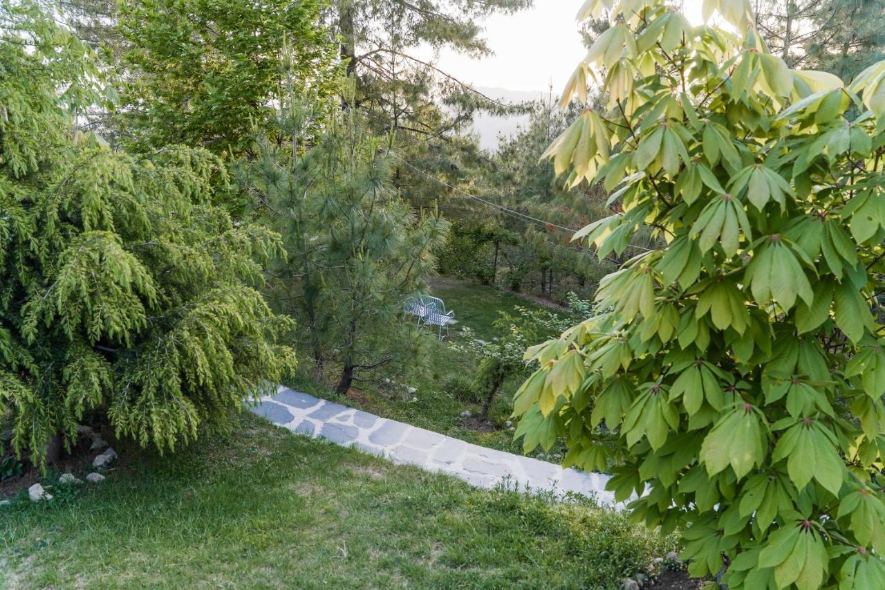 Gali'S End By Roomy, Kalabagh Nathiagali Nathia Gali Ngoại thất bức ảnh